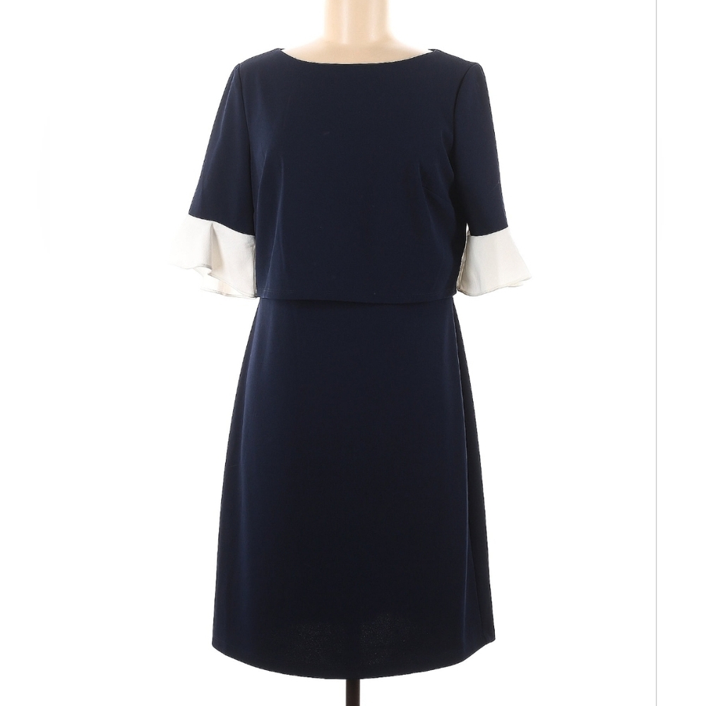 Elegant Navy and White Overlay  Dress